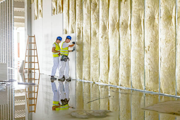 Best Attic Insulation Installation  in Fruit Heights, UT